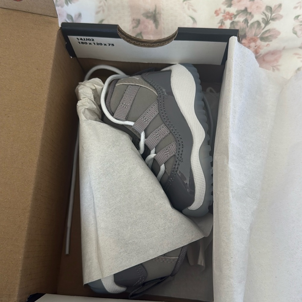 Jordan 11 cool Grey 2c